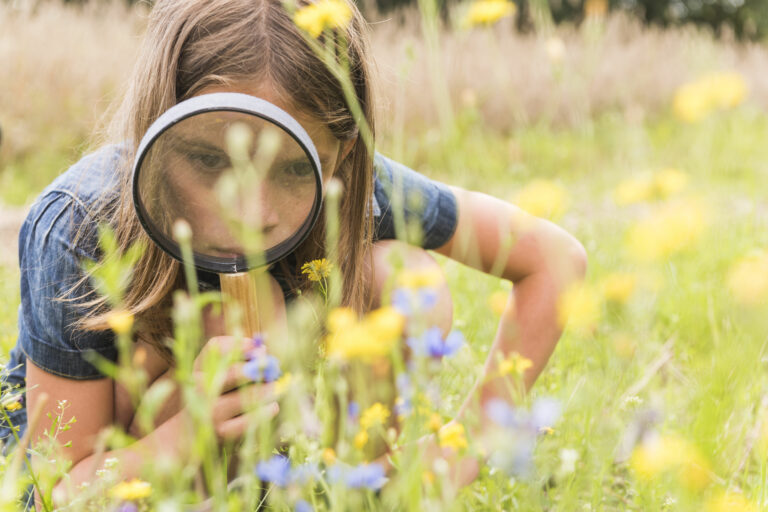 Begeleidende afbeelding OERRR Stiltewandeling - 3 mei