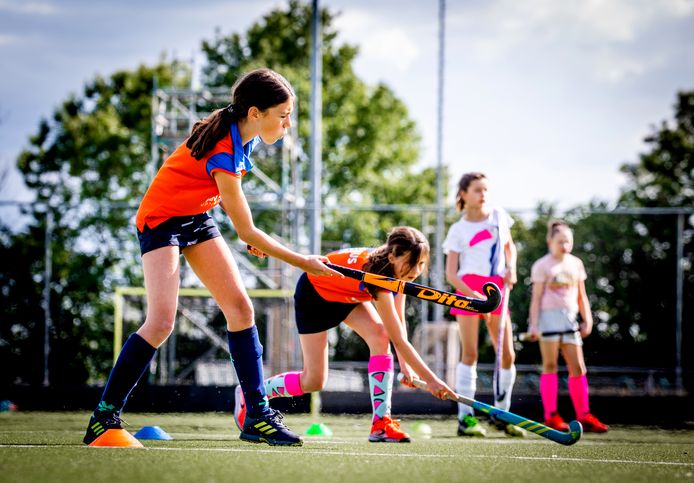 Begeleidende afbeelding HC de Hoeksche Waard