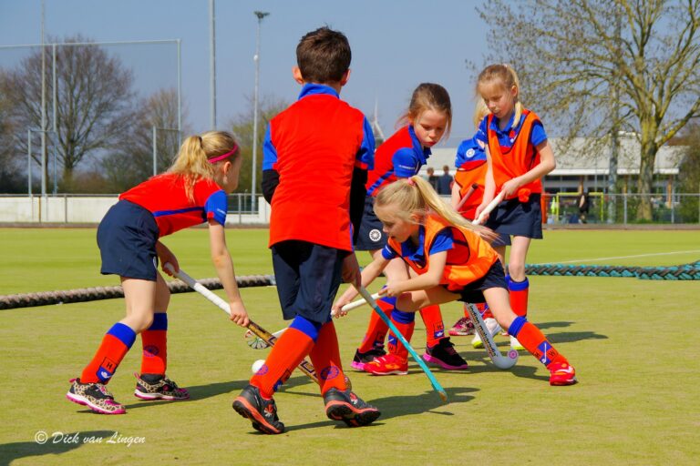 Begeleidende afbeelding Hockey ochtend bij HC de Hoeksche Waard