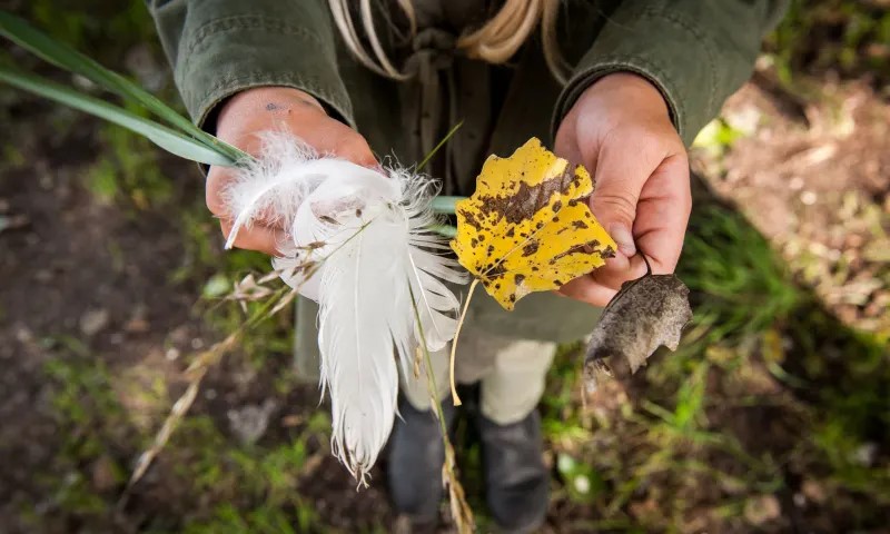 Begeleidende afbeelding OERRR Wilde buiten dag op Tiengemeten 18 okt
