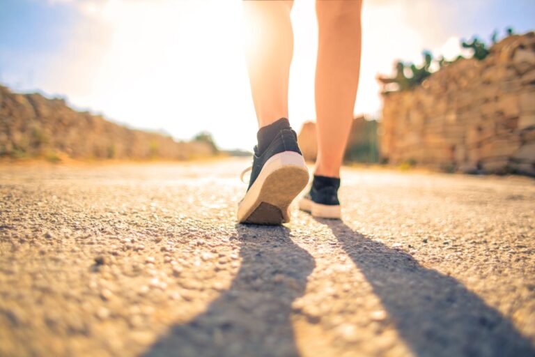 Begeleidende afbeelding Seuter Wandeltocht