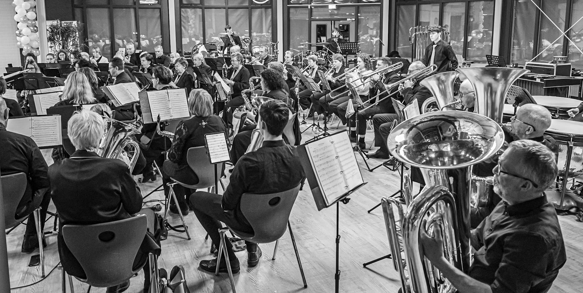 Begeleidende afbeelding Maasmuziek