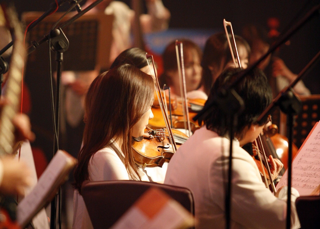 Begeleidende afbeelding Concertcommissie Hoeksche Waard