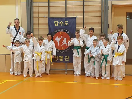Begeleidende afbeelding Tang Soo Do
