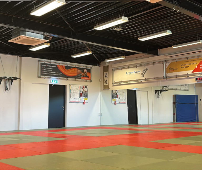 Begeleidende afbeelding Stichting Randori - Terug in Beweging!