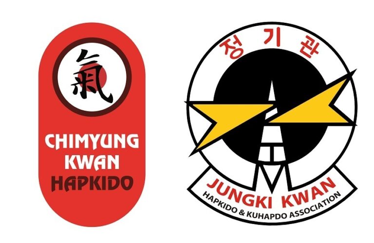Begeleidende afbeelding Hapkido Hoeksche Waard - Terug in Beweging!