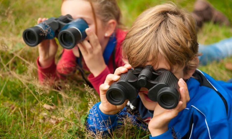 Begeleidende afbeelding De vogels van Tiengemeten