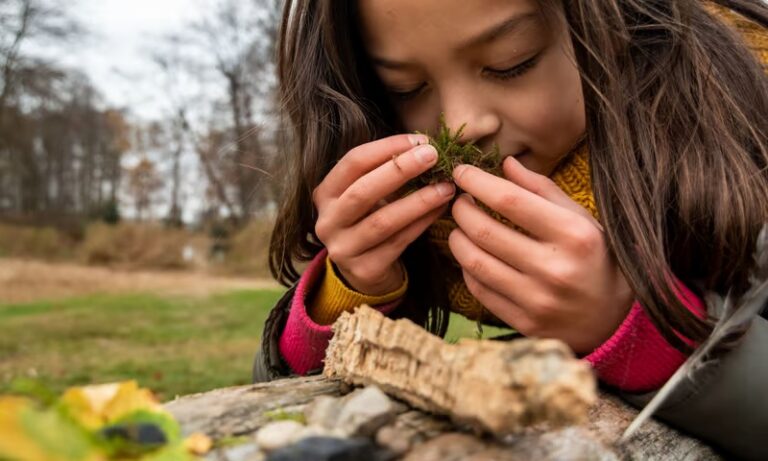Begeleidende afbeelding OERRR Zintuigentocht