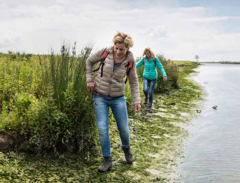 Begeleidende afbeelding Struintocht over Tiengemeten