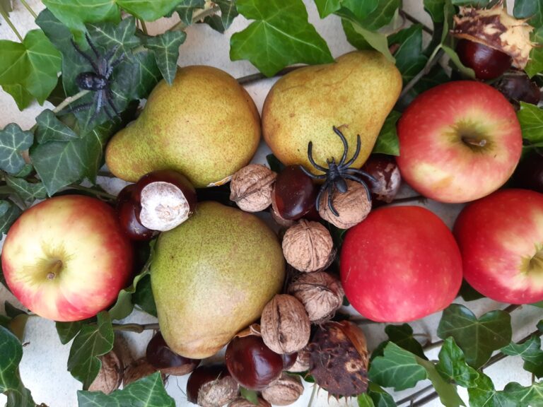 Begeleidende afbeelding Herfst-kindermiddag