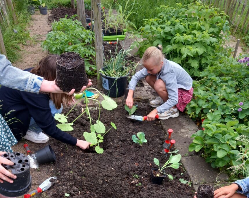afbeelding Landelijke erkenning voor BuitenLokaal